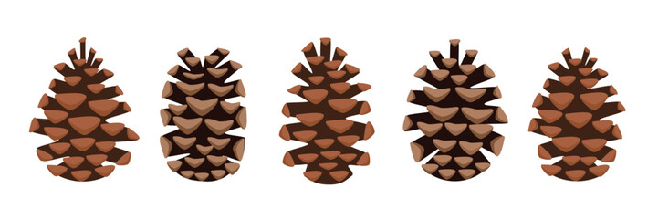 Pine cone collection vector art. Set of pinecone. Pinecone  clipart. Autumn pinecone. Autumn plants. Conifer cones. Evergreen cones.