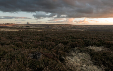 View across the North Yorkshire Moors with heather at sunset. Goathland, UK.