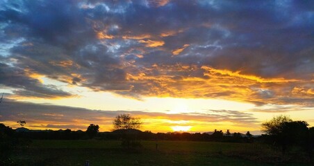 Sunset in forest with horizon