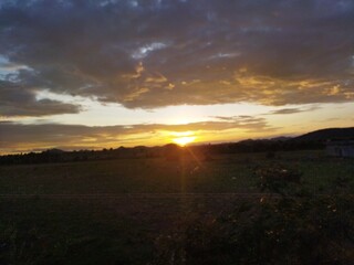 Sunset in forest