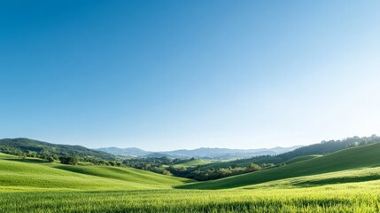 Fototapeta premium Expansive Green Fields and Rolling Hills Under a Cloudless Blue Sky