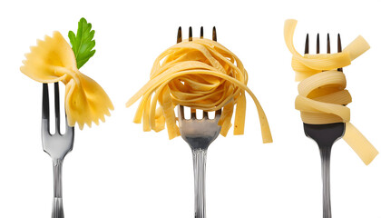  Set of Italian pasta on twirled stainless steel fork, Cavatelli, Pappardelle, Spaghetti, 