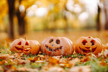 Three carved pumpkins sitting on autumn leaves in a sunny park during Halloween season. Holidays,...