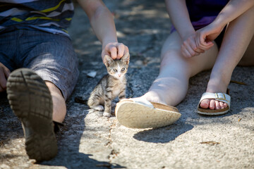 A touching image featuring a sweet stray kitten interacting with a human on a city street. 