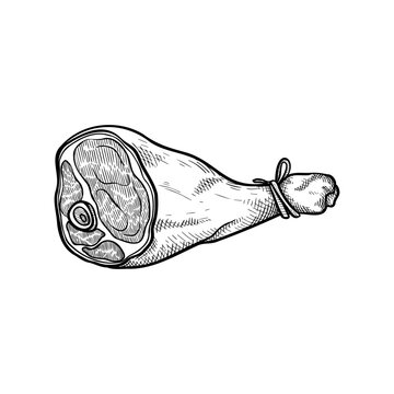 Smoked jam&oacute;n leg, traditional food sketch