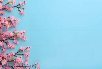 Fototapeta premium Pink Flowers Bordering Blue Background for Easter and Mother's Day