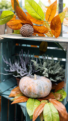 Autumn Decor Featuring Delightful Pumpkin and Colorful Leaves in a Rustic Setting