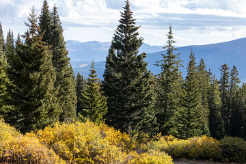 Autumn in the Colorado Rocky Mountains, Breckenridge Hiking Trails, Forests during Fall