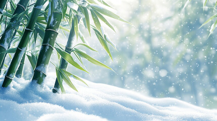 
Bright green bamboo stalks peeking through a soft blanket of snow. 