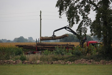 Verladung von gefällten Baumstämmen auf einem Lastwagen in Lippetal Büninghausen, Nordrhein-Westfalen, an der Buschstraße, am 23.09.2024.