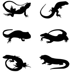 Black silhouette of lizard on white background.