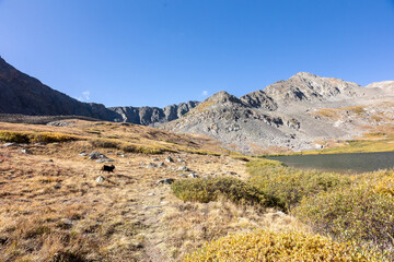 Hiking with Dogs in Colorado, Rocky Mountain Scenic Landscape, Water