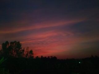 a sunset over a forest