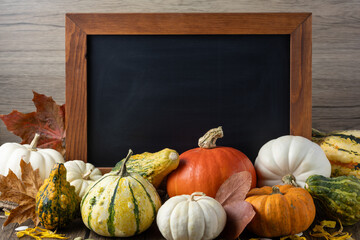 Different variety of fresh harvesting edible raw pumpkin and empty black chalkboard on wooden table background. Happy thanksgiving rustic background.