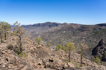 Typical mountain landscape in the central part of the island. Gran Canaria. Canary Islands. Spain.