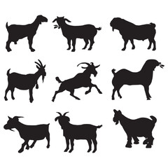 Goat silhouette on white background.