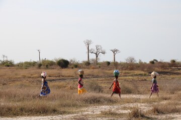 Group of women walking and carrying things on their head in dry and arid savannah landscape in...