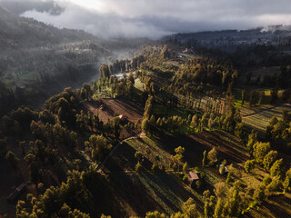 Obraz premium Aerial View of Lush Terraced Fields in the Mountains at Sunrise.