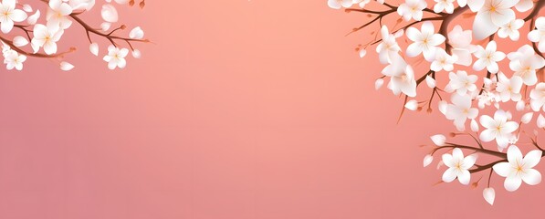 Obraz premium Pink Background with White Cherry Blossoms