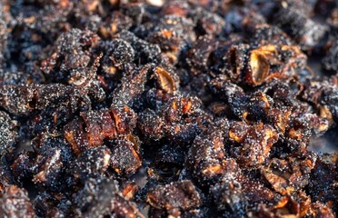 Closeup of Seedless Imli or Tamarind Coated in White Salt to Preserve