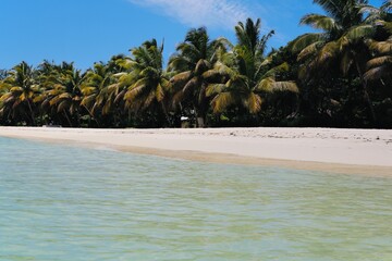 White sandy paradise beach with clear blue sea and palm trees to relax on vacation in Madagascar,...