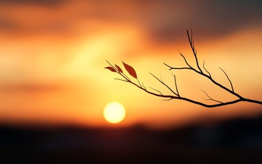 Obraz premium Capture a distant, dreamy glow, Long shot sunset