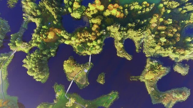 Amazing aerial top-down view of Kirkilai karst lakes and lookout tower in the bright sunny autumn morning, Birzai eldership, Panevezys county, Lithuania