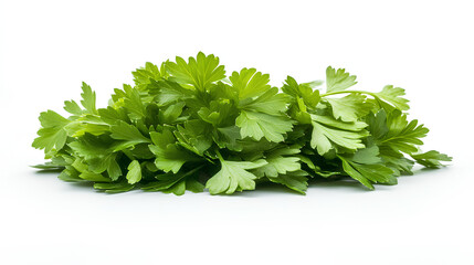 Obraz premium Bunch of fresh parsley on a white background. Perfect for salads, garnishes, and adding flavor to a variety of dishes.