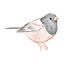 Small bird perched on branch watercolor autumn illustration