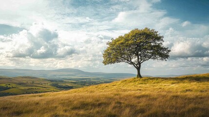 Obraz premium tree in a vast landscape, standing tall on a hill, with mountains visible in the distance
