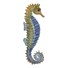 Seahorse in blue, green, yellow. Underwater animal hand-drawn with watercolor isolated on white background. For design of printing, interiors, children's accessories, clothes, dishes, packaging