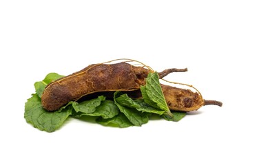 Tamarind and Pudina Leaves or Mint Leaves  Isolate on White Background with Copy Space