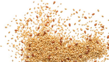 Detailed Image of Mixed Grains: Barley, Wheat, and Quinoa with Sharp, Distinct Textures.
