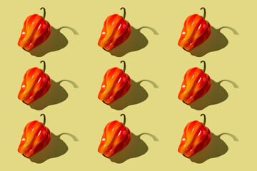 Colorful bell pepper with hard shadow, isolated, pattern