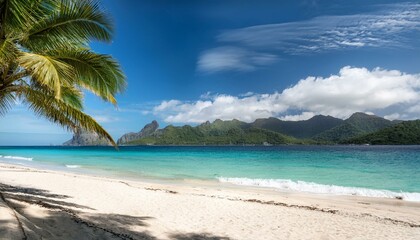 Fototapeta premium tropical beach view with palm trees and distant mountains