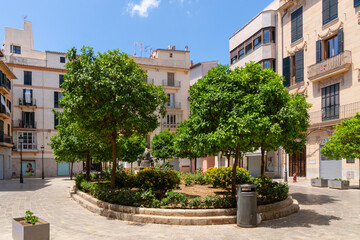 Fototapeta premium Kleiner grüner Part mit Bäumen auf einem Platz in Palma de Mallorca auf Mallorca Spanien