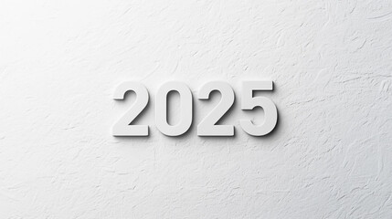 A minimalistic design featuring the year 2025 in bold numbers against a textured white background.