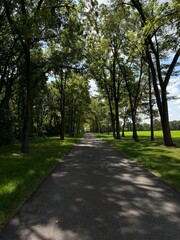 Obraz premium path in the park