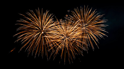 Fototapeta premium Golden Fireworks Burst on Black Background. Bright and Festive Celebration Display