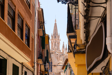 in Palma de Mallorca auf Mallorca Spanien