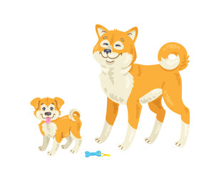 Dogs family. Adult Akita Inu dog and funny puppy. Isolated on white background. Vector flat illustration.