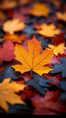 mapple leaves on the ground in autumn