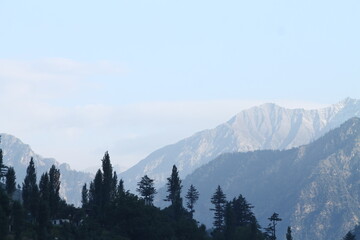 Majestic mountains rise in the background, their peaks touching the sky, while a lone tree stands in the foreground. The vibrant greenery of the tree contrasts beautifully with the rugged mountain 