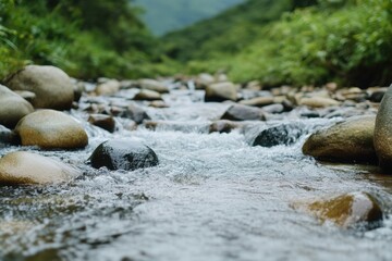 Serene Nature Therapy: Tranquil Mountain Stream Promoting Peace and Well-Being