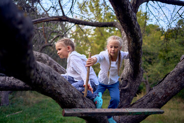 little sisters girls climb a tree, mother secures them below, camping with children