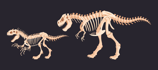 Jurassic raptors skeletons. Ancient tyrannosaurus dinosaur fossil bones, t-rex flat vector illustration set. Cartoon archaeological fossil skeletons © GreenSkyStudio