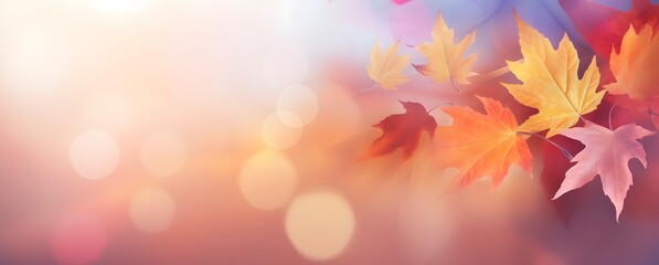 Autumn Leaves Banner with Sunlight and Blurred Background