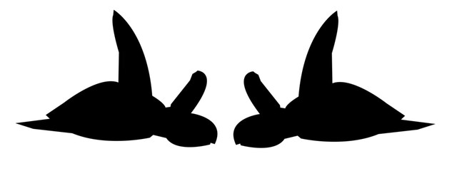 Set of swimming turtle silhouettes isolated on white background. various poses. Vector illustration.