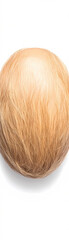 Naklejka premium A close up of a coconut with a fuzzy texture. The coconut is tan in color and he is a nut