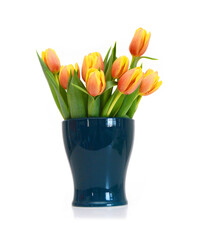 Colorful tulip flowers isolated on white
